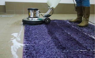 This is a photo of a purple rug being cleaned with an industrial carpet cleaner.