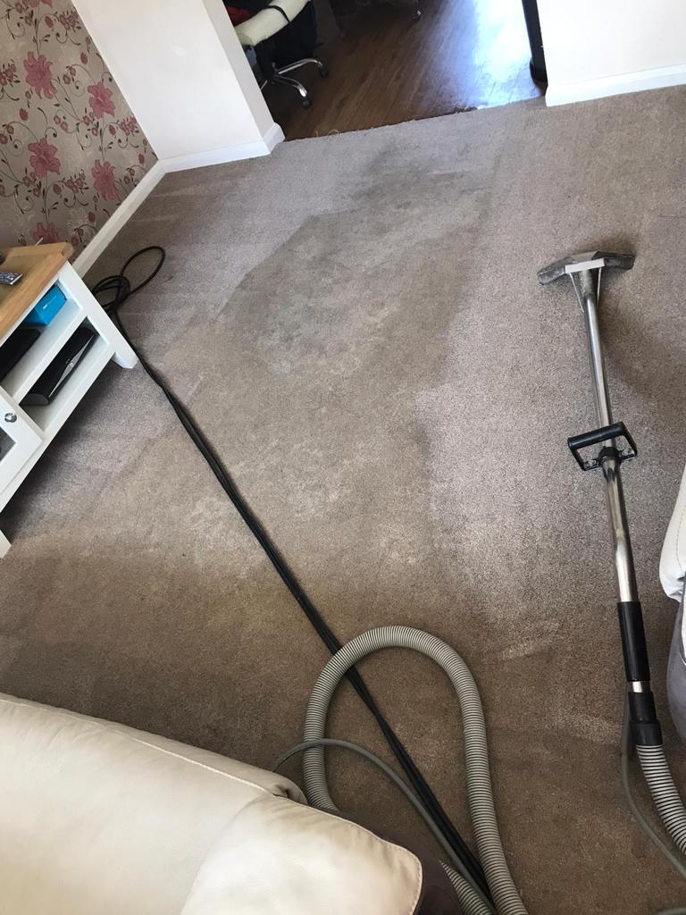 This is a photo of a living room carpet that is in the process of being professionally cleaned. The carpet is cream